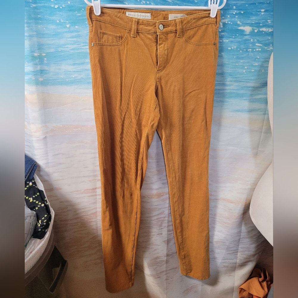 Pilcro and The Letterpress Anthropologie Corduroy Pants Rust Color Size 28 Serif